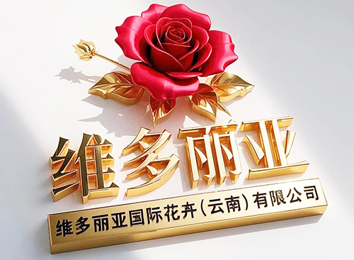 “滇国” 品牌：让云南的芬芳绽放在时光与文化的长河中